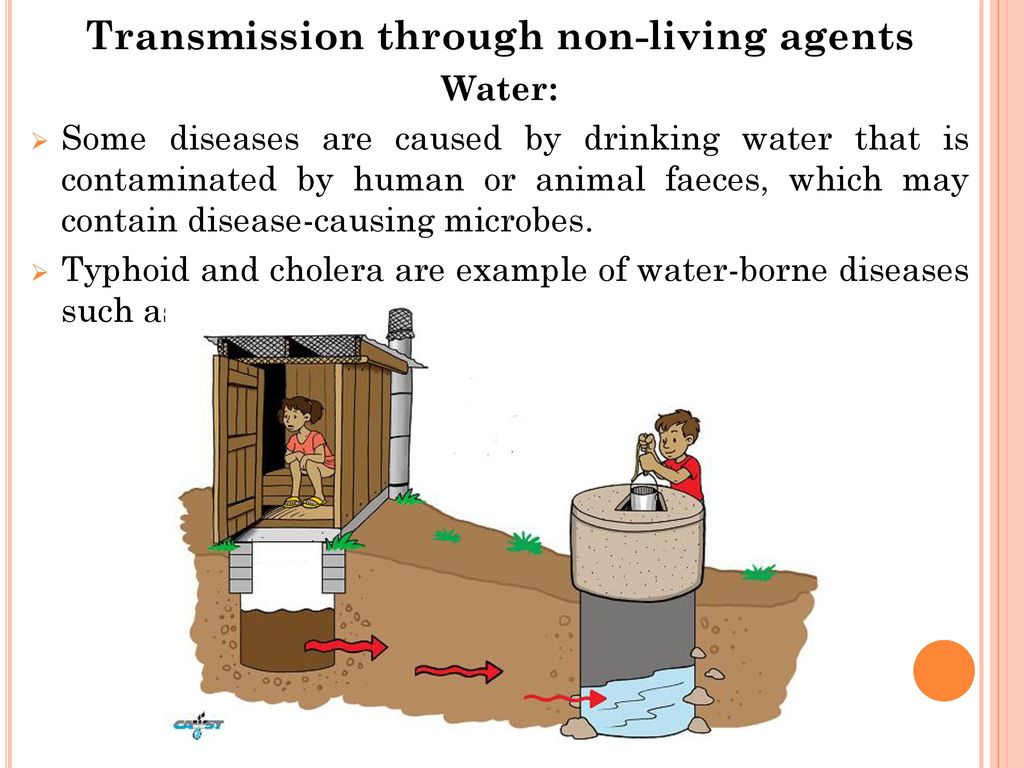 Transmission through non-living agents