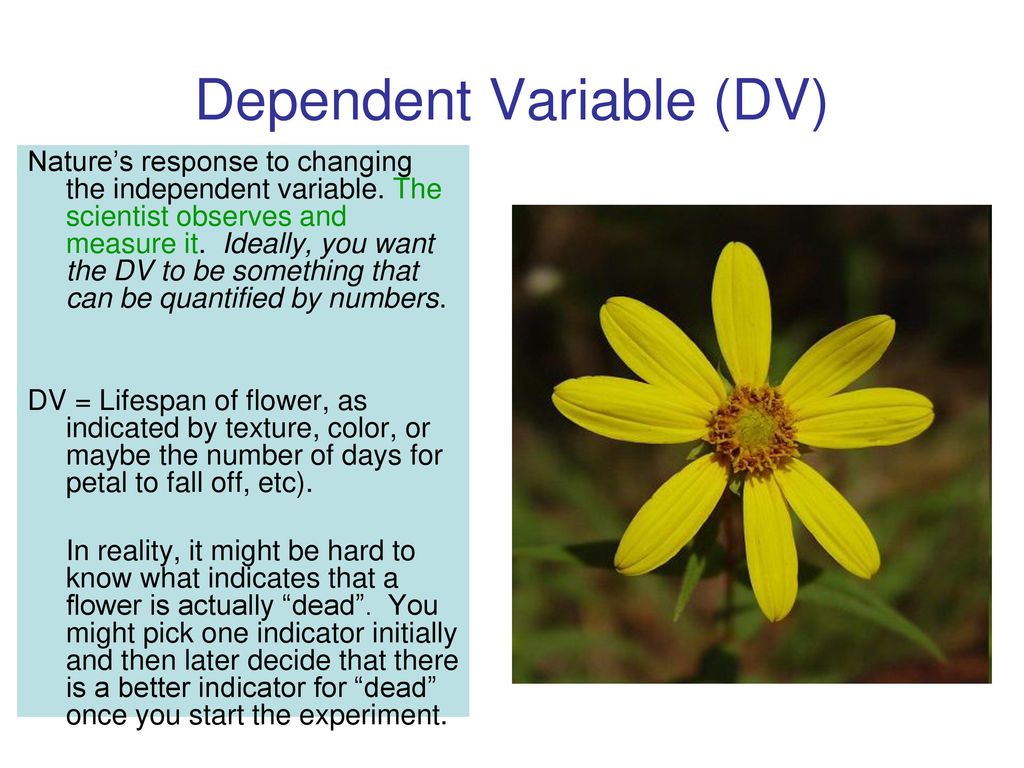 Methods Of Science Ppt Download