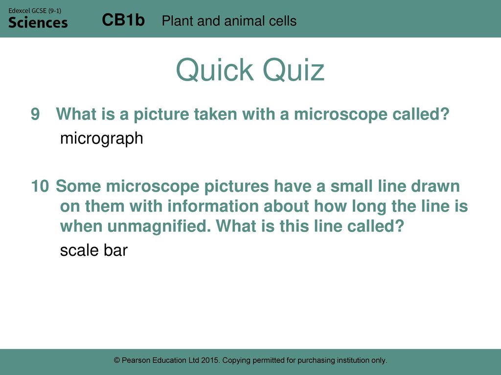 Cells Ppt Download