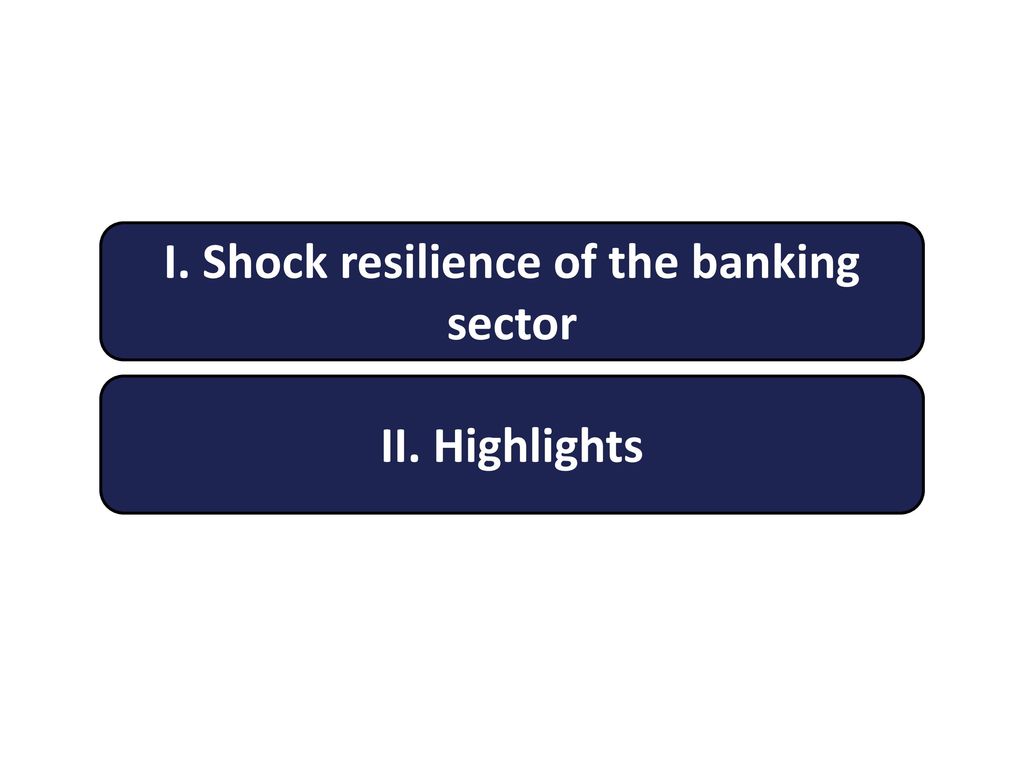 I. Shock resilience of the banking sector