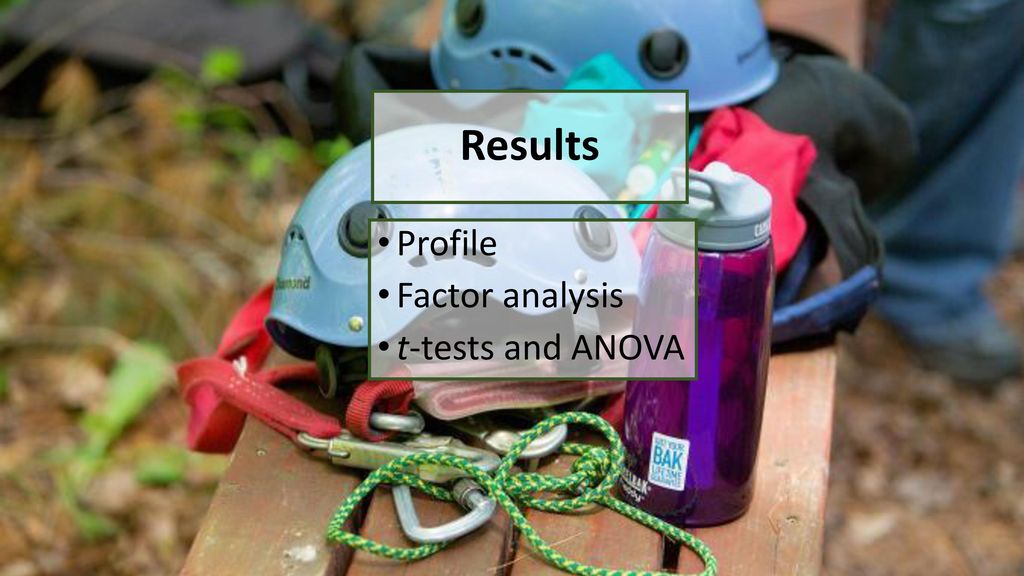 Results Profile Factor analysis t-tests and ANOVA