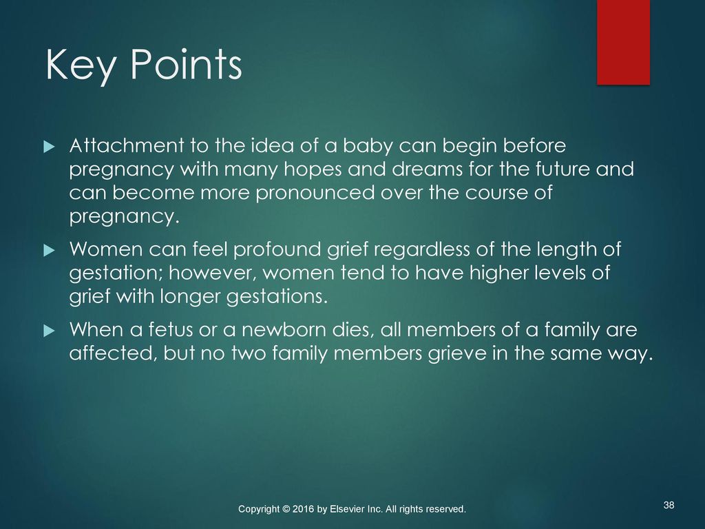 Perinatal Loss, Bereavement, and Grief - ppt download