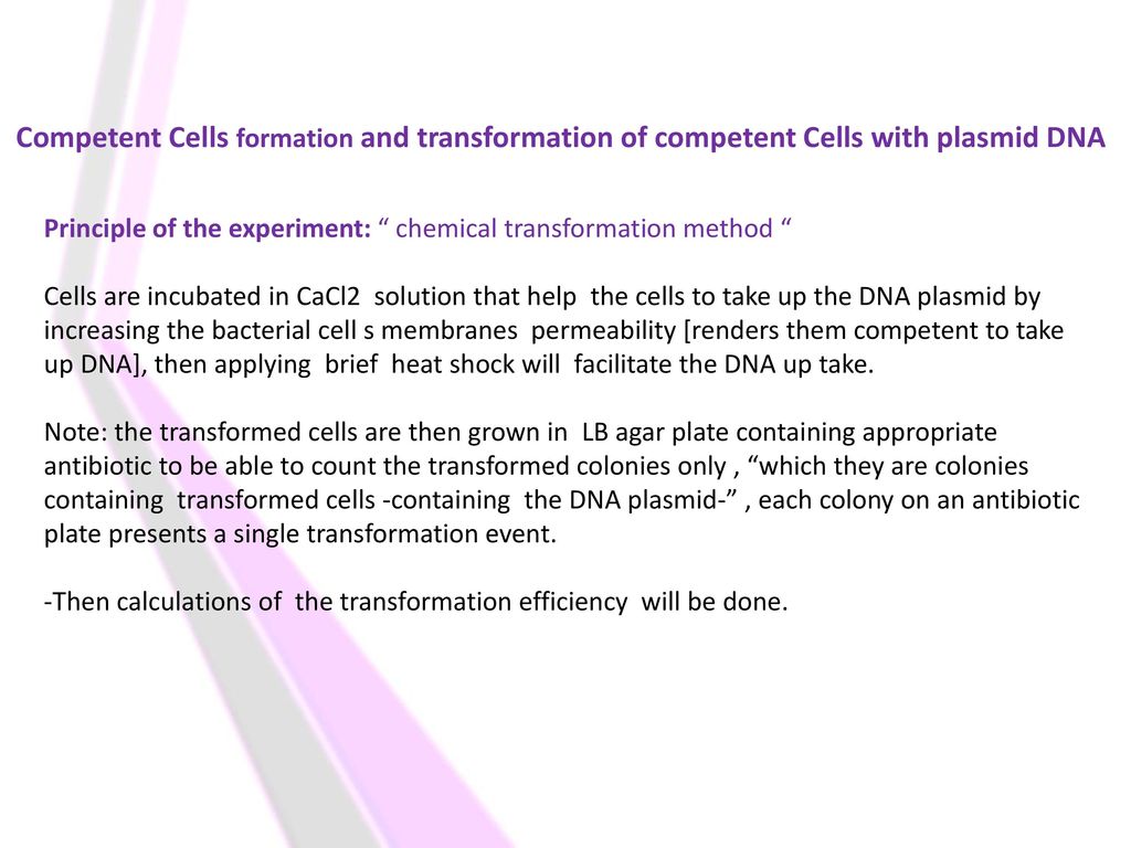 lab# 2 competent cells formation and transformation of competent