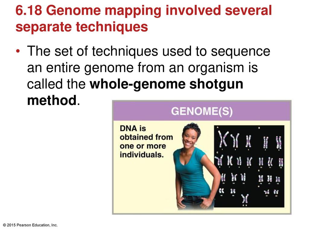 Chapter 6 Dna The Molecule Of Life Unit Hyperlinks Ppt Download
