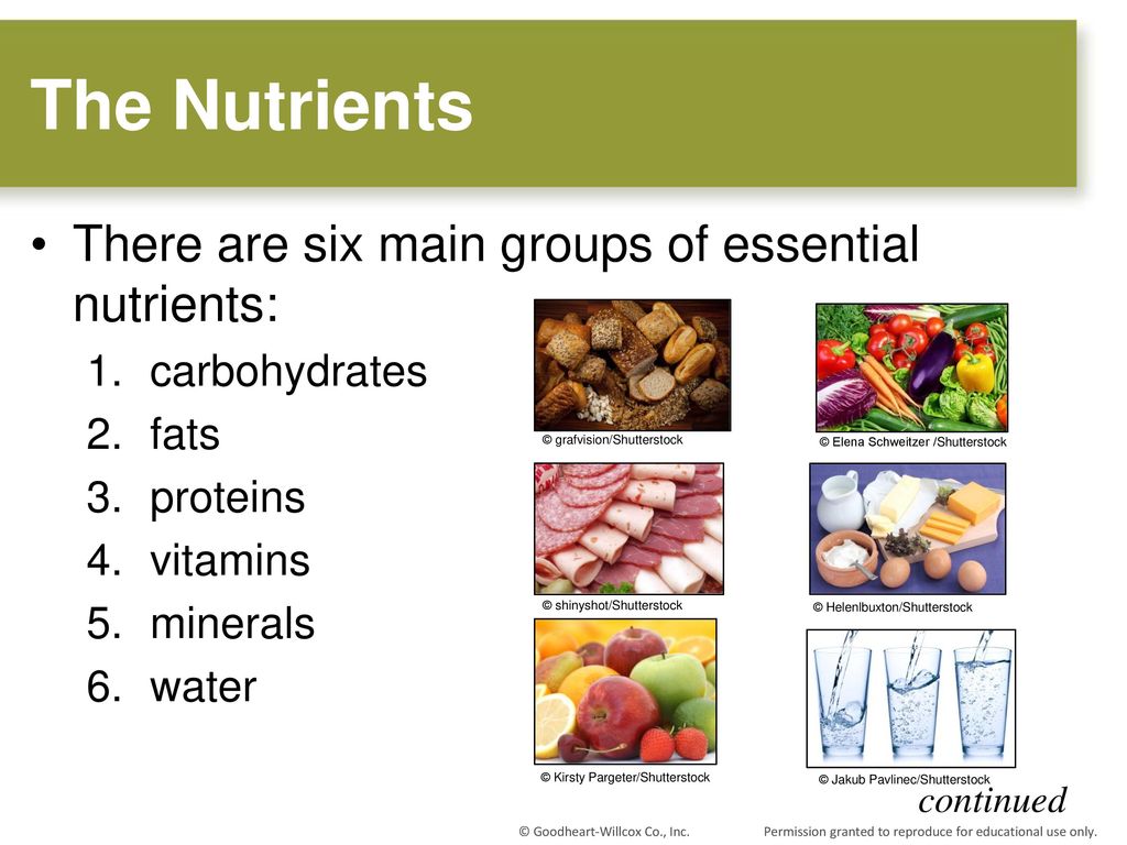 Vitamin nutrient. Essential nutrients. Nutrient питание. Nutrients Journal. Proteins fats carbohydrates Vitamins.