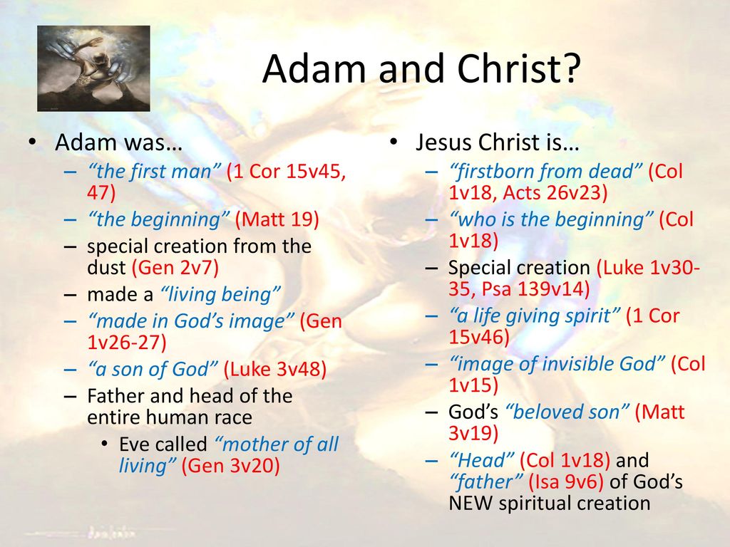 Adam and Christ As by one man - ppt video online download