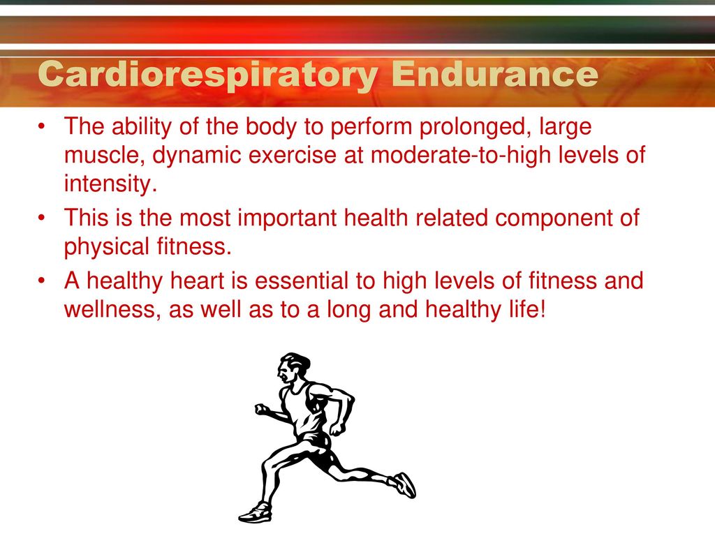 50 15 Minute Why is cardiovascular endurance important in sport 