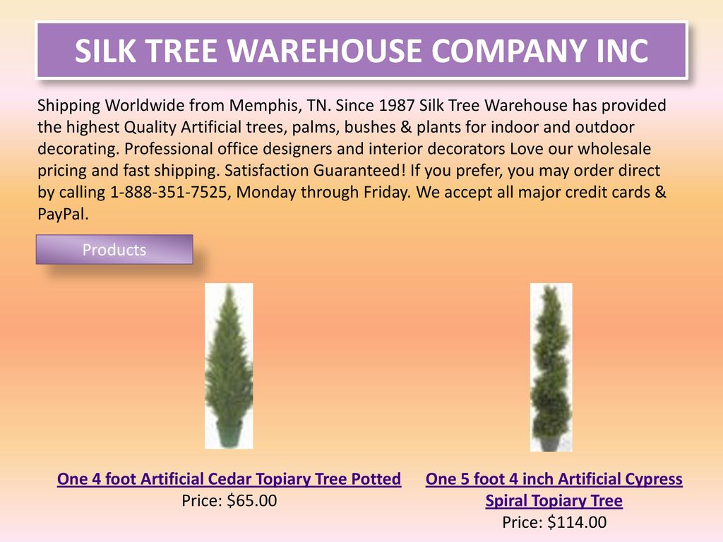Silk Tree Warehouse We Are Silk Tree Warehouse Skilled Merchants Of Indoor Or Outdoor Artificial Home Decor Products Dealing With Items With The Most Ppt Download Silk Tree Warehouse We Are Silk Tree Warehouse Skilled Merchants Of Indoor Or Outdoor Artificial Home Decor Products Dealing With Items With The Most Ppt Download