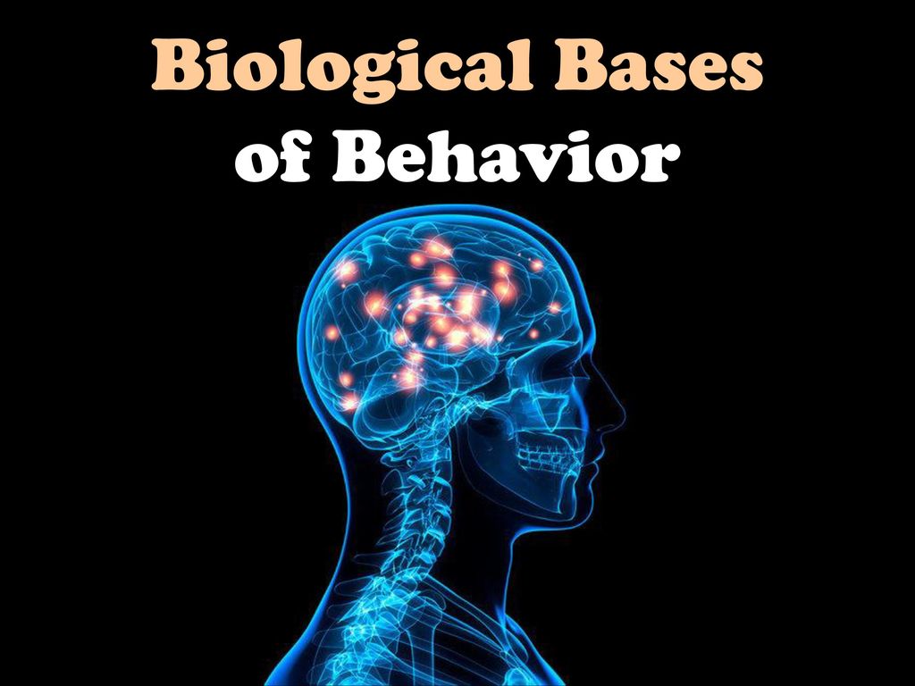 Biological Bases of Behavior. Biological Bases of Behavior. - ppt download