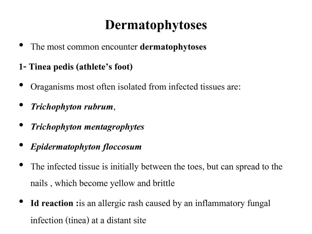 PHARMACEUTICAL MICROBIOLOGY I PHT ppt download