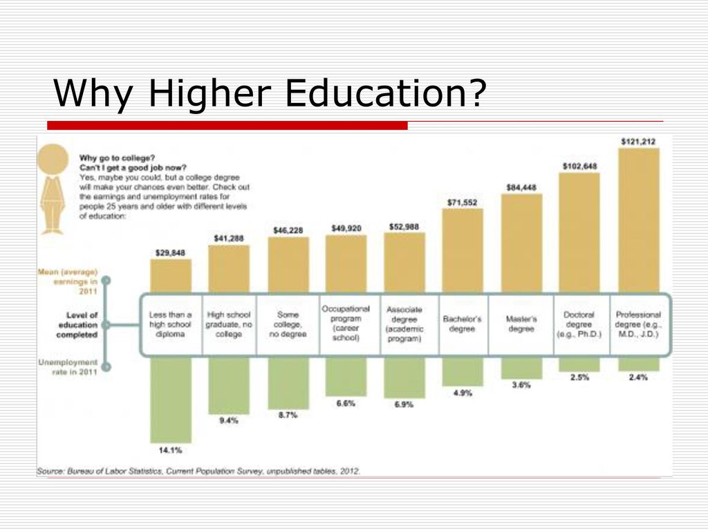 What is higher education