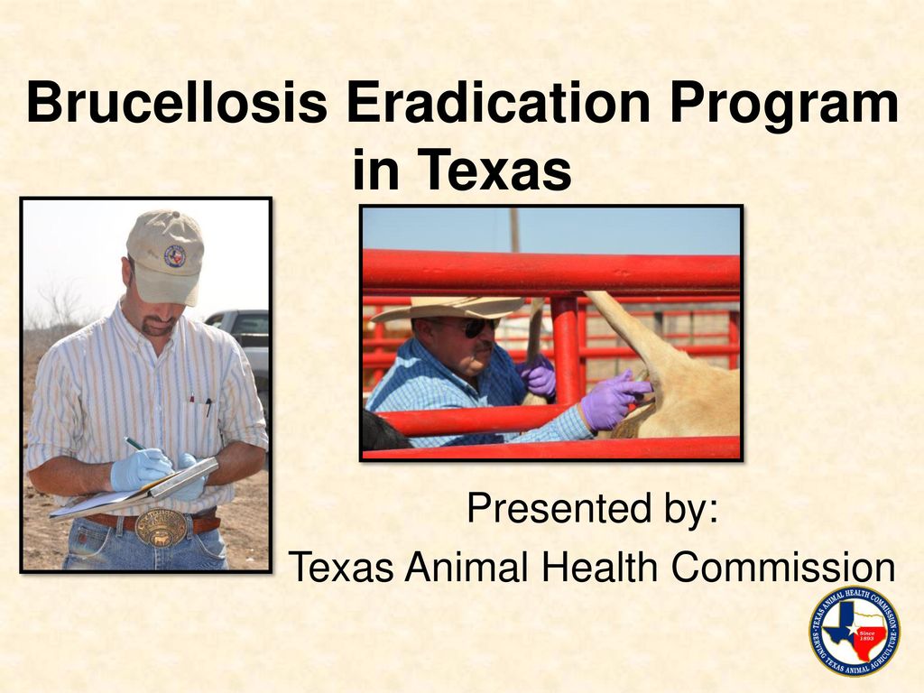 Texas Animal Health Commission - ppt download Texas Animal Health Commission - ppt download