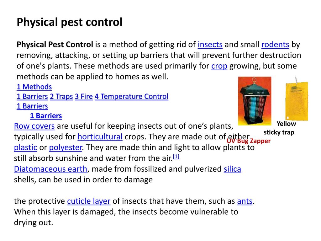 Pest Control Chilliwack