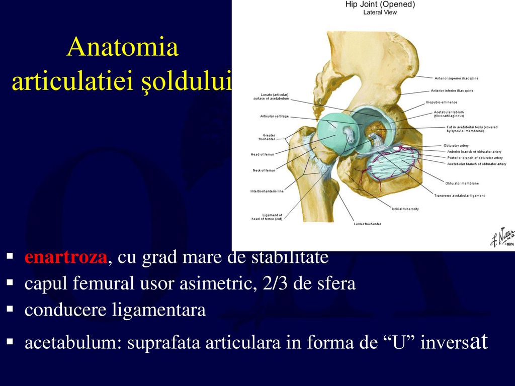 Care ajută la artroza articulației șoldului Reparația articulației de testosteron