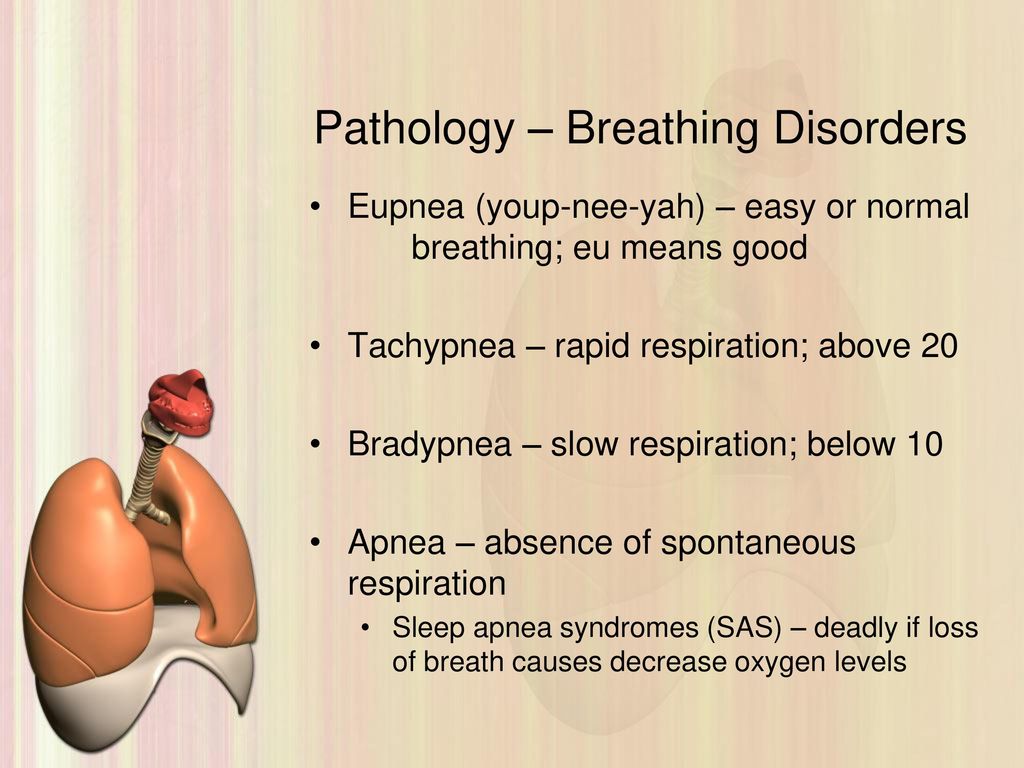 Respiratory System Objectives: - ppt download