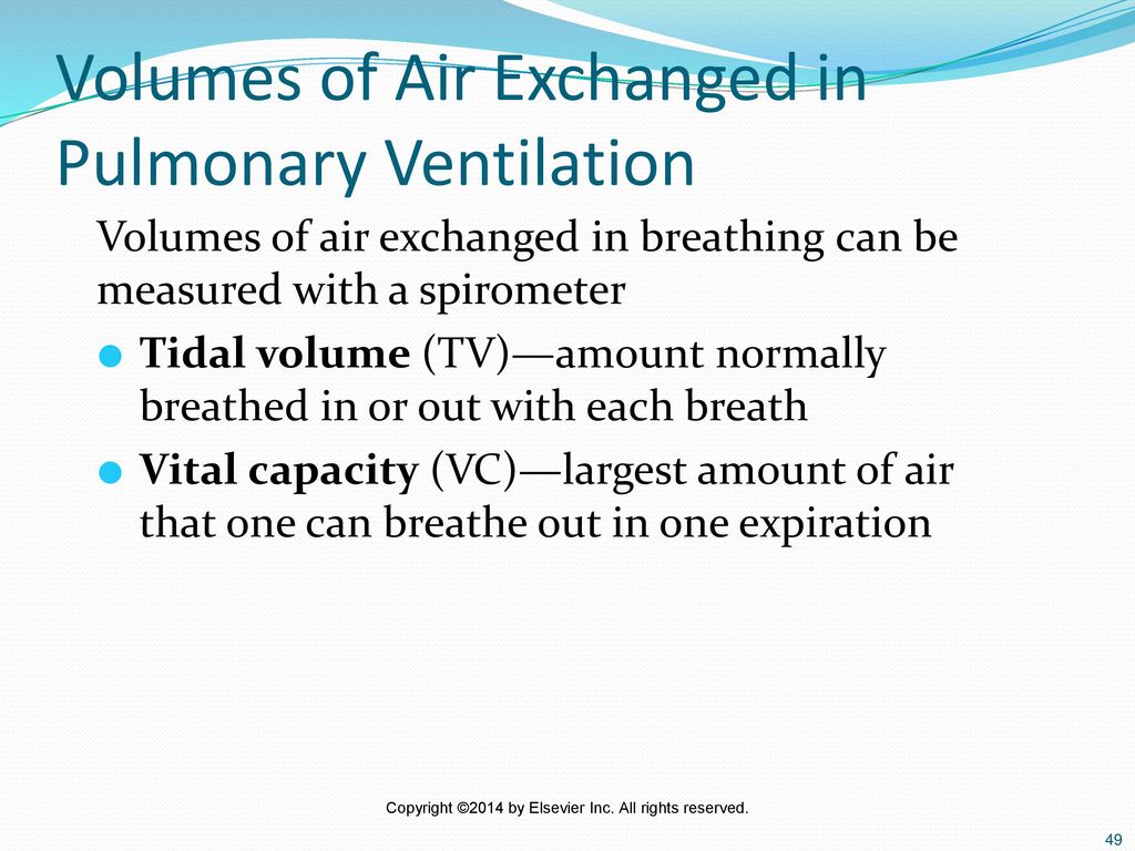 The Respiratory System - ppt download