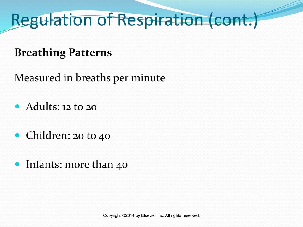 The Respiratory System - ppt download