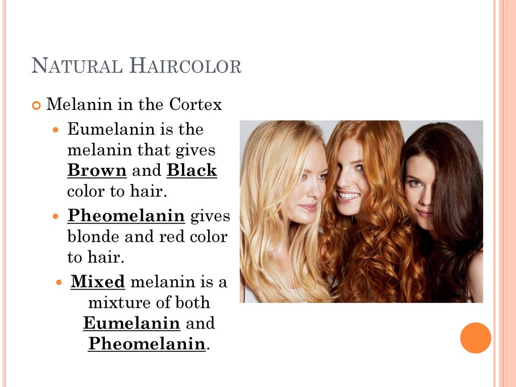 Hair Coloring. - ppt video online download Hair Coloring. - ppt video online download