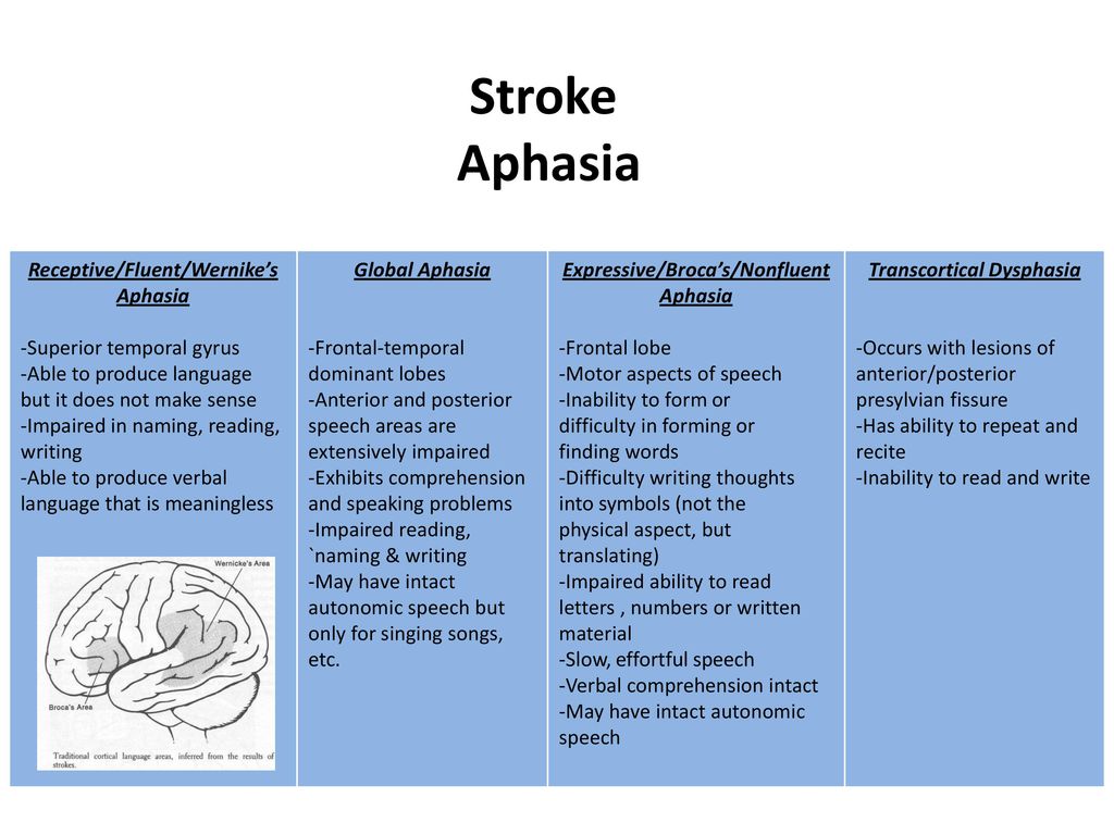 Supplemental Study Guide - ppt download