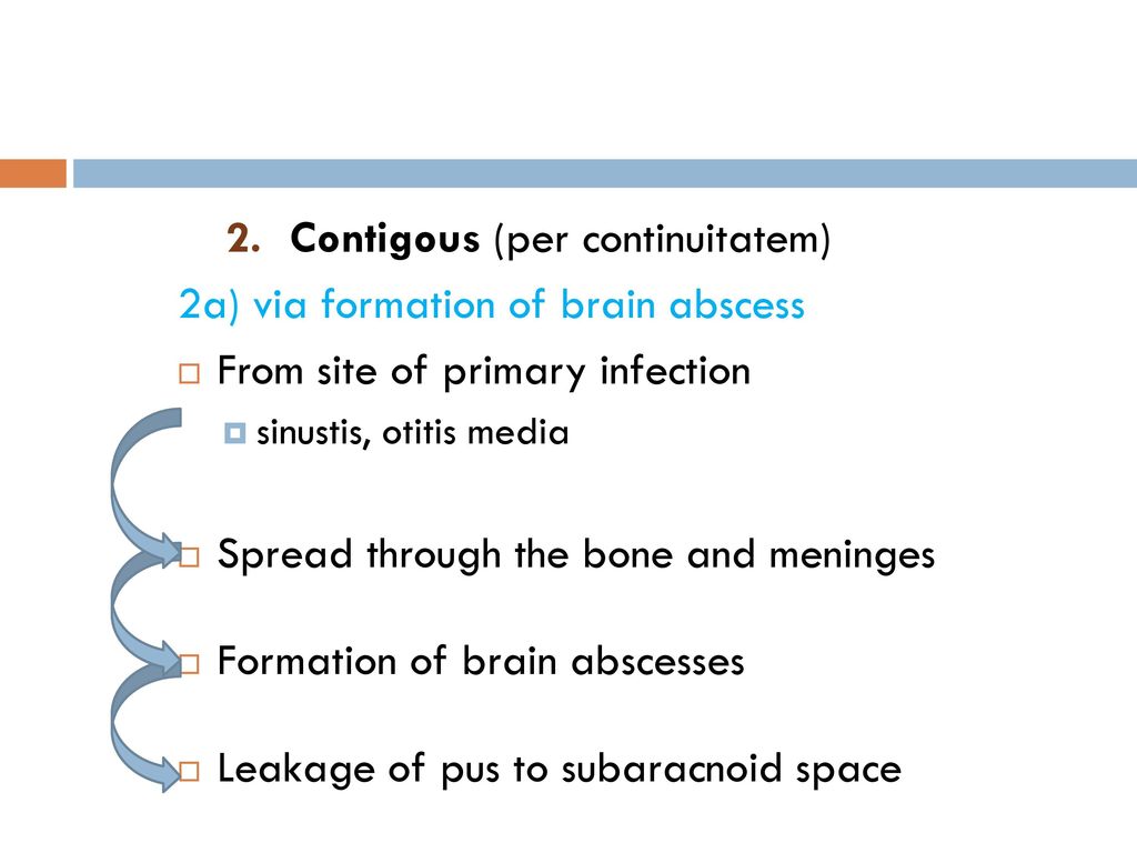 BacTerial infections of the central nervous system - ppt download
