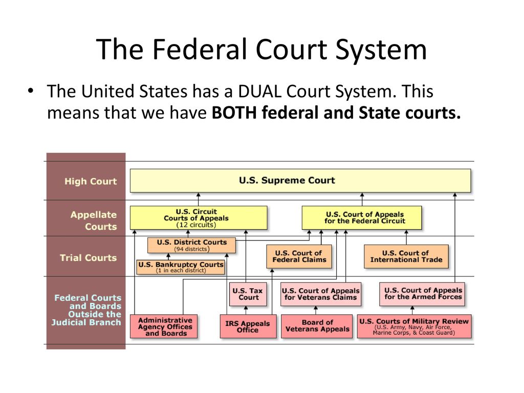 The Federal Judiciary, Civil Liberties, Immigration and Citizenship ...