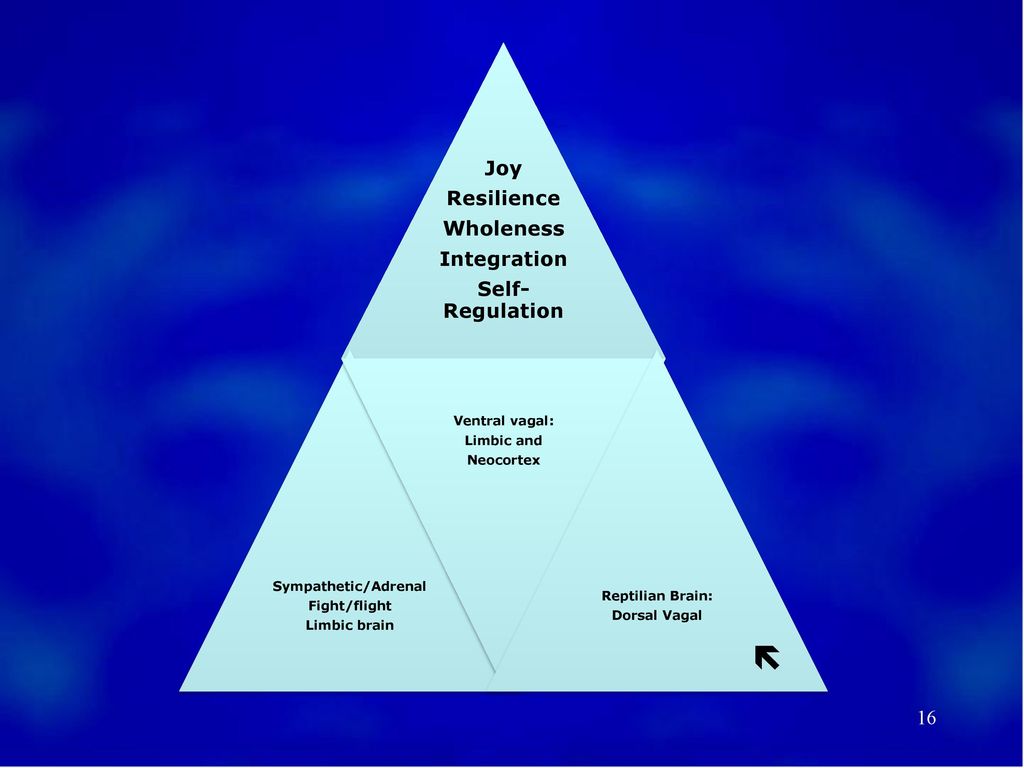  Joy Resilience Wholeness Integration Self-Regulation Ventral vagal: