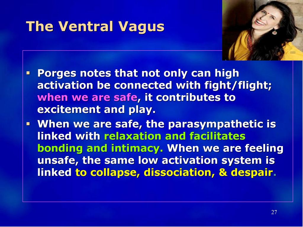The Ventral Vagus