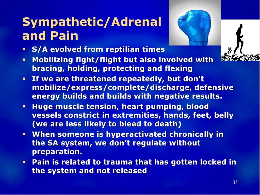 Sympathetic/Adrenal and Pain