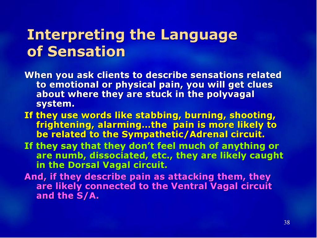 Interpreting the Language of Sensation