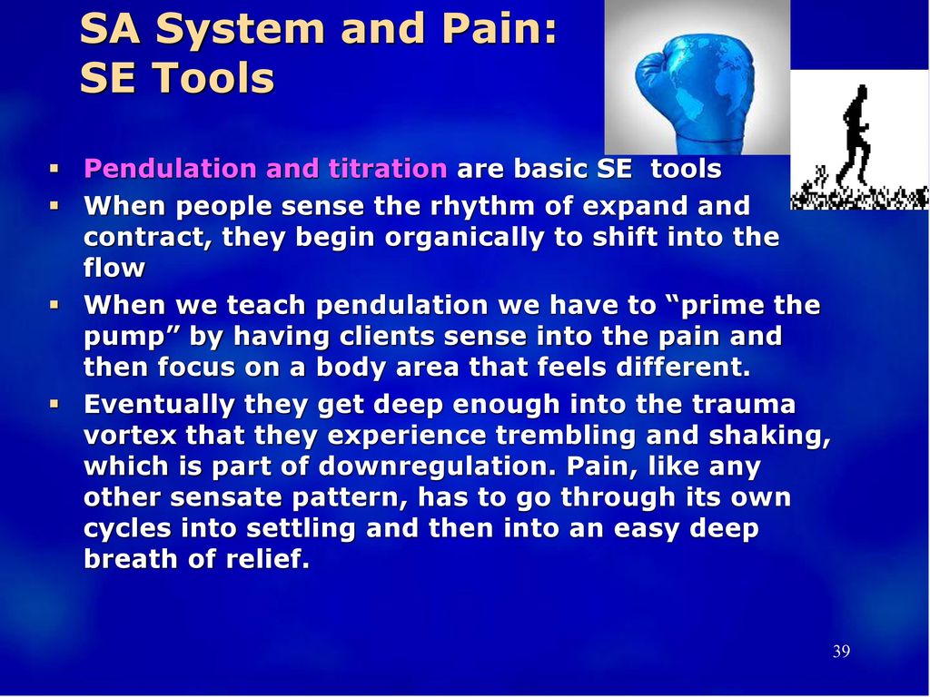 SA System and Pain: SE Tools