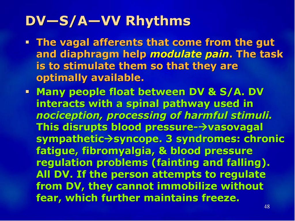 DV—S/A—VV Rhythms
