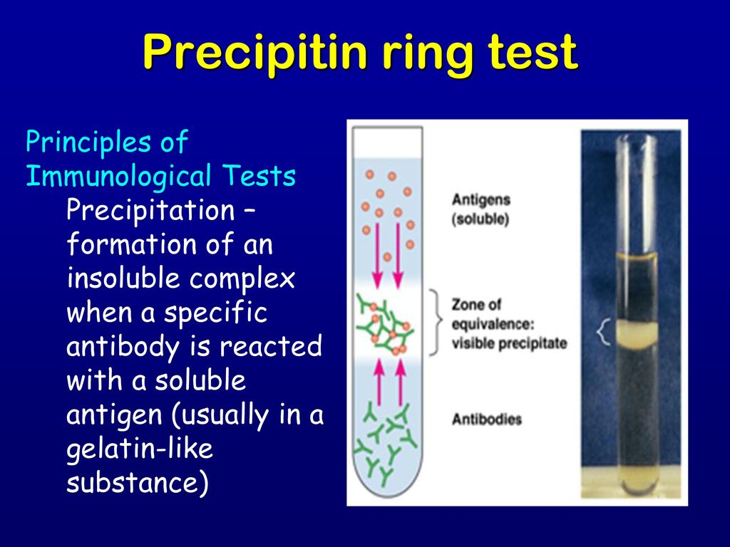 Precipitin+ring+test+Principles+of+Immunological+Tests