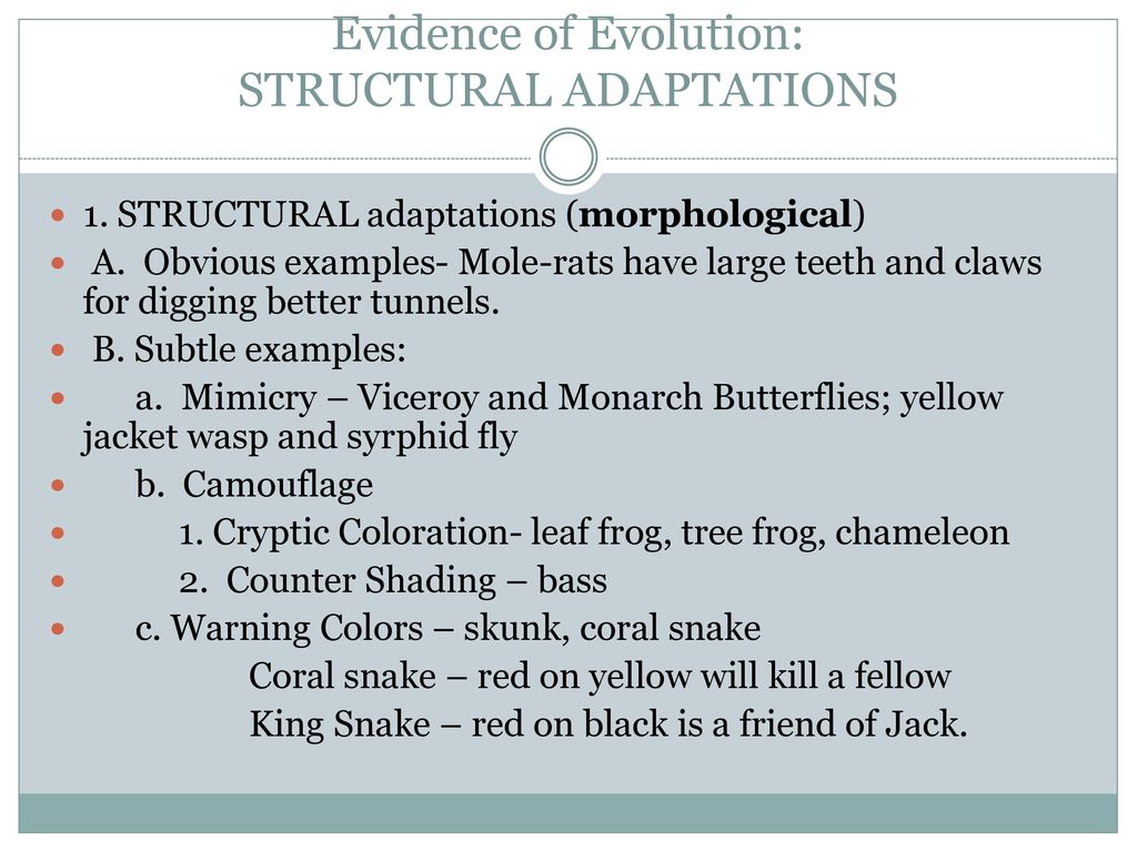 Evolution. - ppt download
