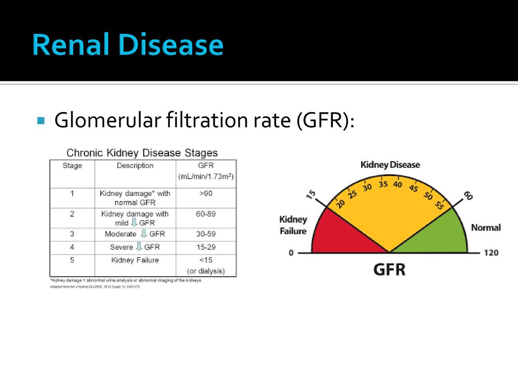 Estimated glomerular filtration rate egfr national kidney 48 off