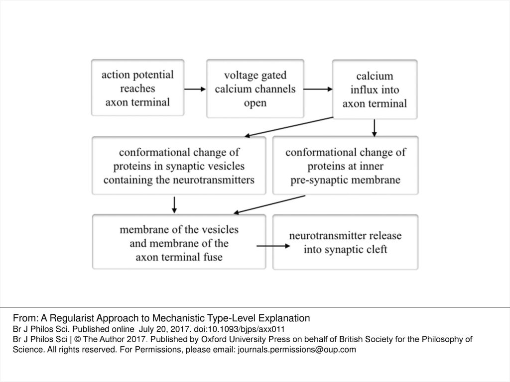 From: A Regularist Approach to Mechanistic Type-Level Explanation