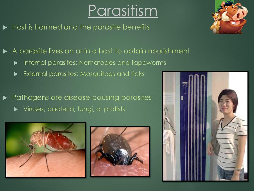Parasitism Host is harmed and the parasite benefits