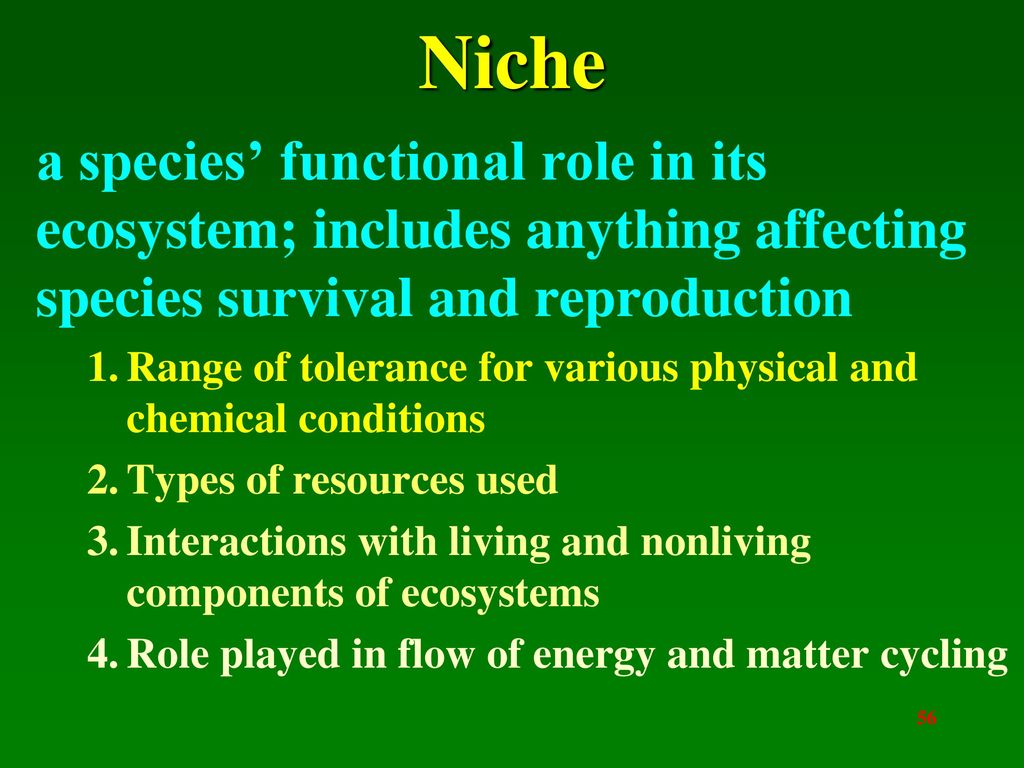 Niche a species’ functional role in its ecosystem; includes anything affecting species survival and reproduction.