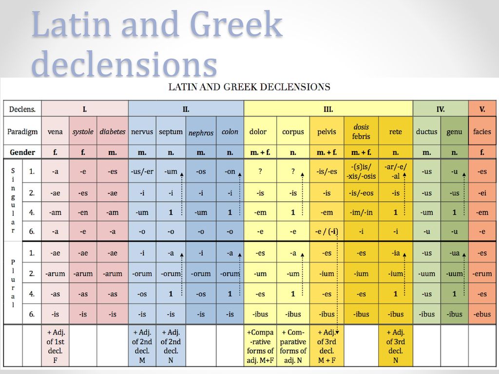 Greek Declensions Chart