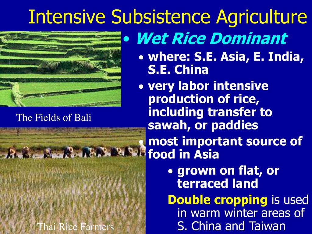 Intensive Subsistence Agriculture