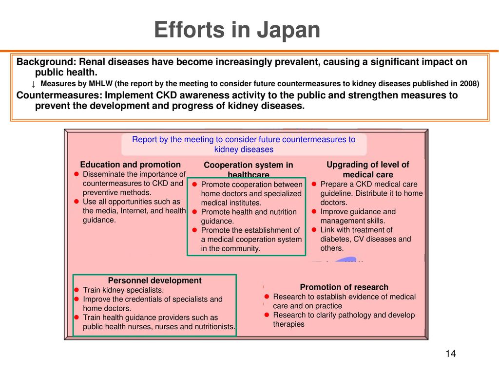 Efforts in Japan Background: Renal diseases have become increasingly prevalent, causing a significant impact on public health.