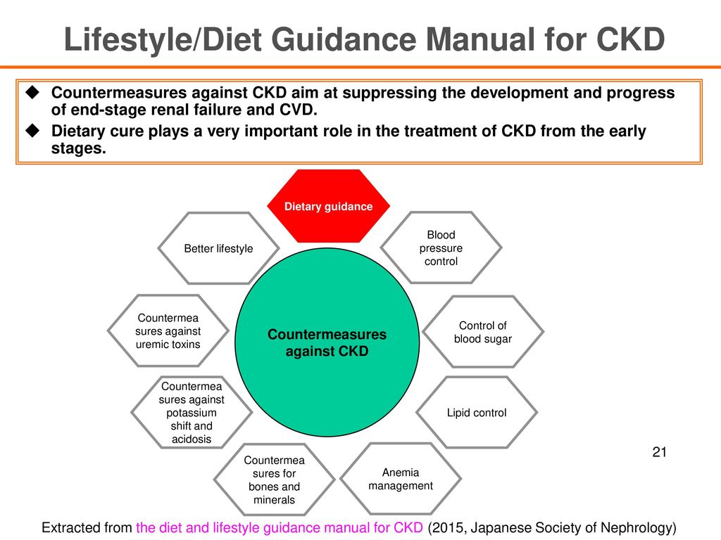 Lifestyle/Diet Guidance Manual for CKD Countermeasures against CKD