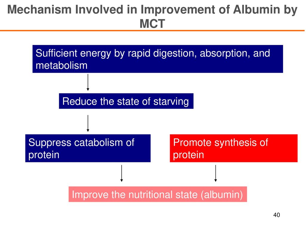 Mechanism Involved in Improvement of Albumin by MCT