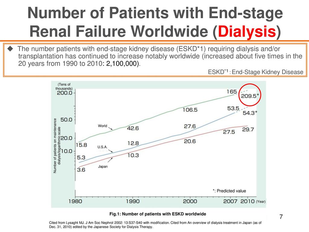 Number of Patients with End-stage Renal Failure Worldwide (Dialysis)