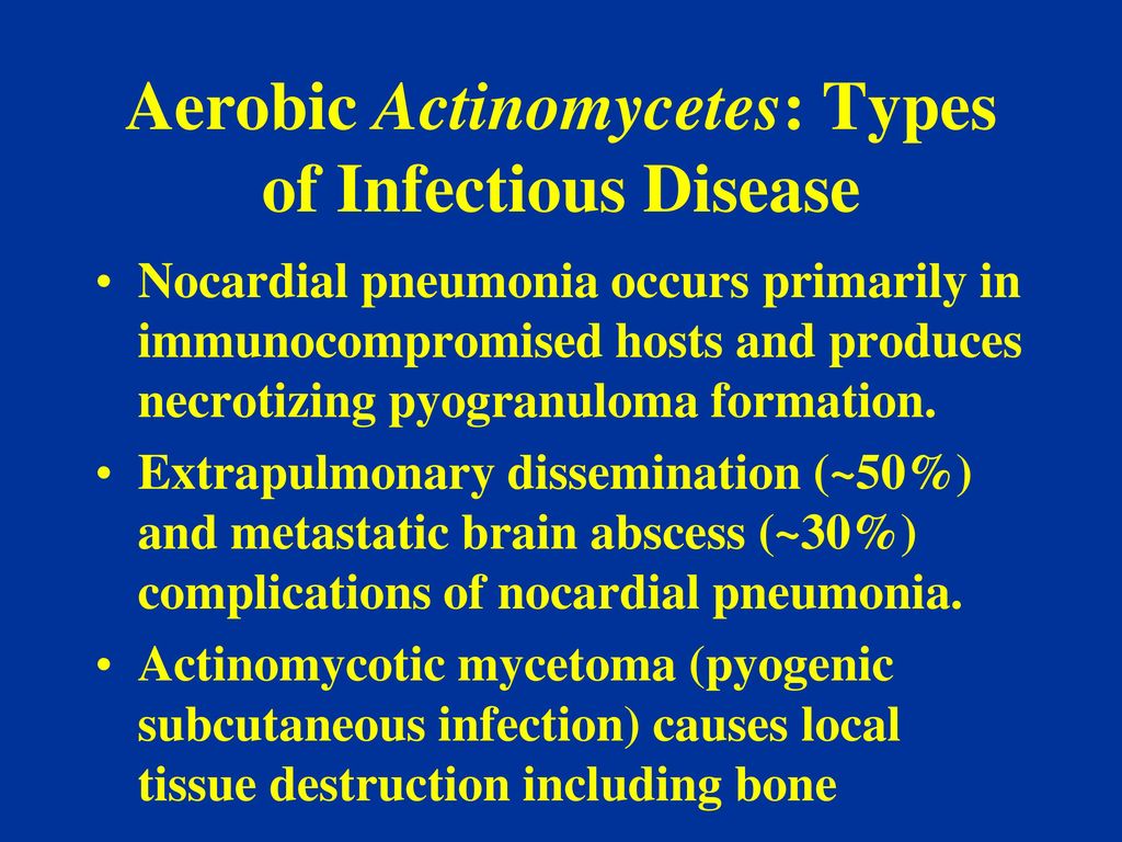 Aerobic Actinomycetes And Anaerobic Actinomyces Ppt Video Online Images, Photos, Reviews