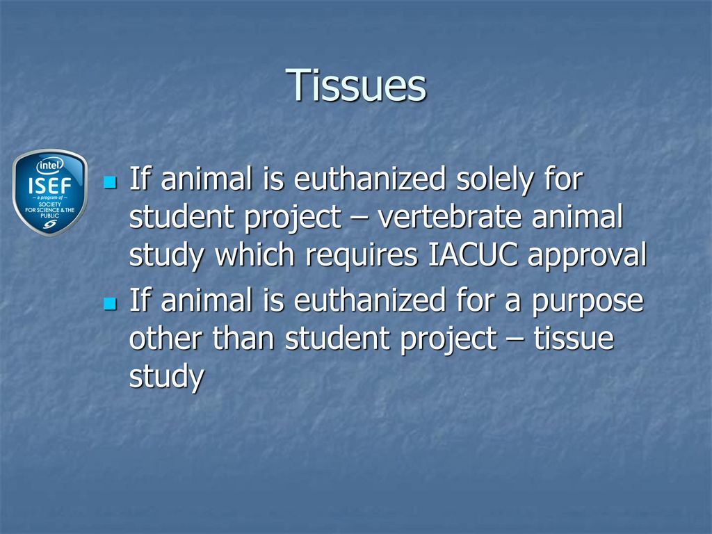 Tissues If animal is euthanized solely for student project – vertebrate animal study which requires IACUC approval.