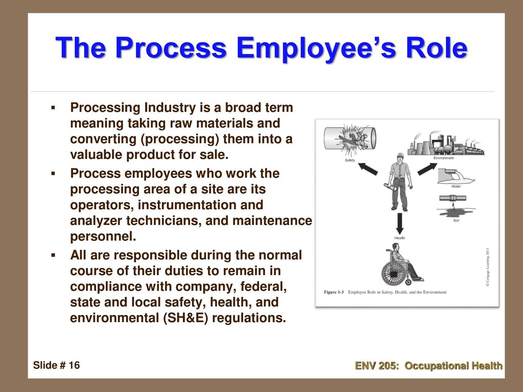Safety health and environment for process technicians