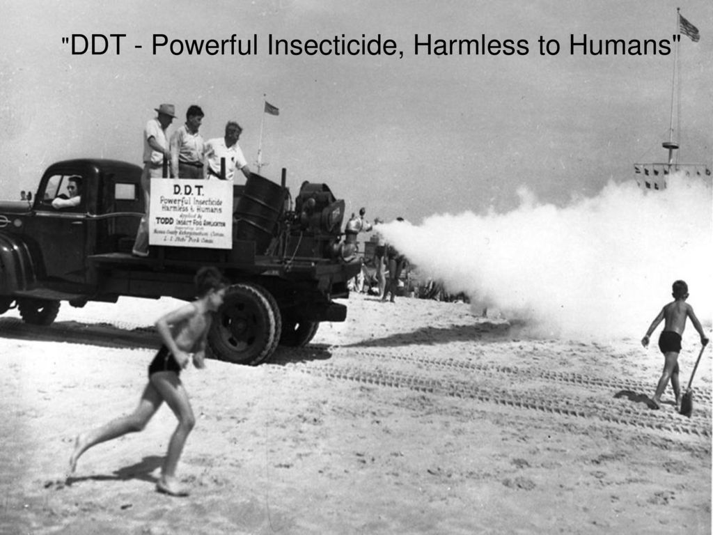 DDT+-+Powerful+Insecticide%2C+Harmless+to+Humans.jpg