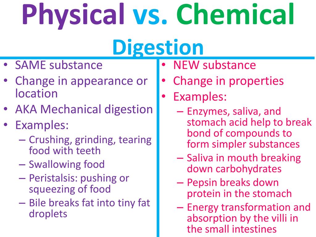 Biochemistry Of Digestion Ppt Download