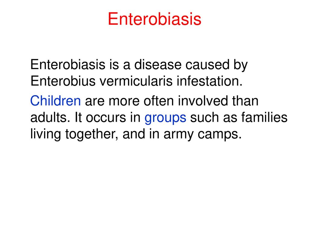 enterobius vermicularis causes what disease)