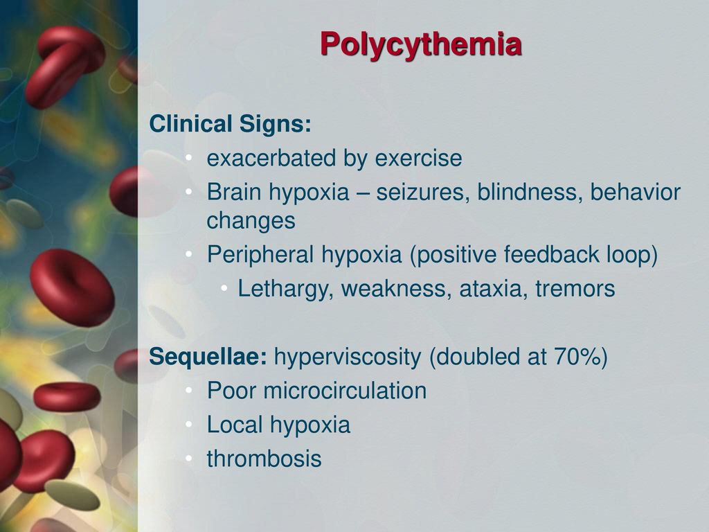 Polycythemia Clinical Signs: exacerbated by exercise